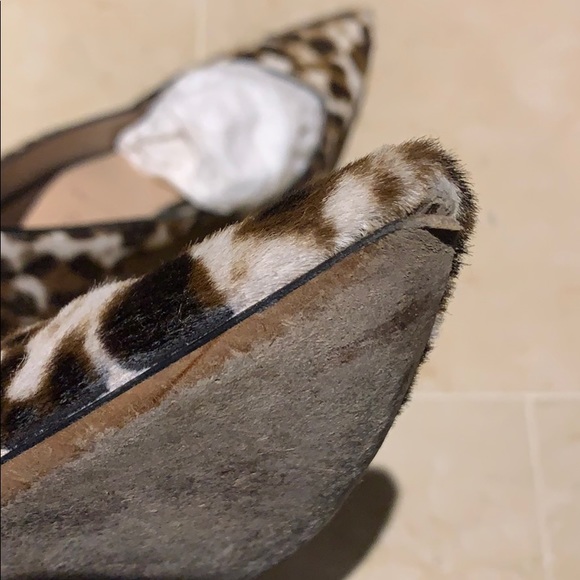 J Crew Collection Colette - Picture 8 of 12